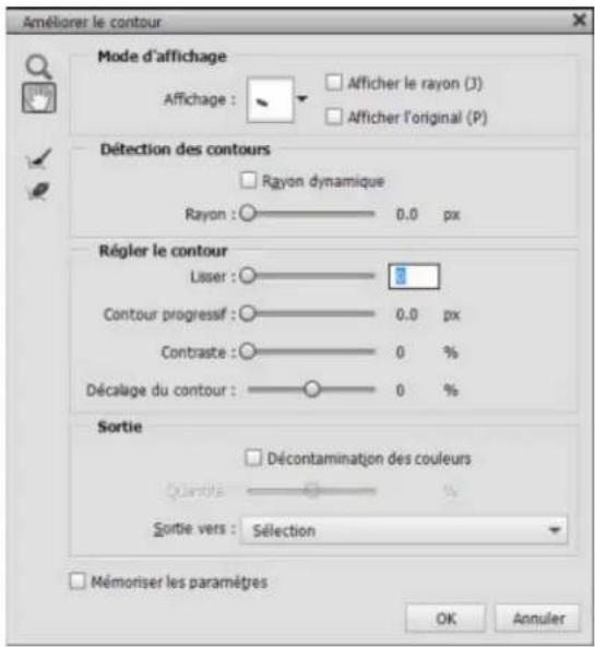 ADOBE Photoshop Elements 15 - Amélioration des contours d'une sélection - 1