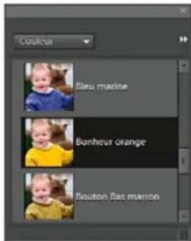ADOBE Photoshop Elements 15 - Réglage de la couleur et de la tonalité à l'aide des outils de forme dynamique - 5