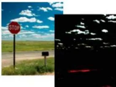 ADOBE Photoshop Elements 15 - Réglages des tons et d'image des fichiers Camera Raw - 1