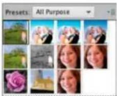 ADOBE Photoshop Elements 15 - Réglage de la couleur et de la tonalité à l'aide des outils de forme dynamique - 2