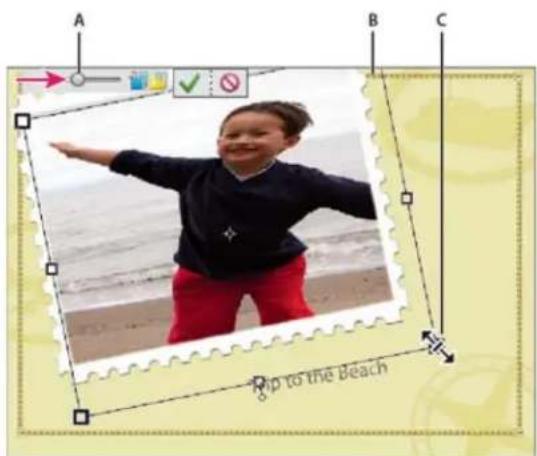 ADOBE Photoshop Elements 15 - Repositionnement ou redimensionnement de photos dans un projet photo - 1