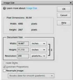 ADOBE Photoshop Elements 15 - A propos de la taille et de la résolution d'image - 2