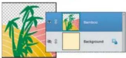 ADOBE Photoshop Elements 15 - Fusion de calques - 2