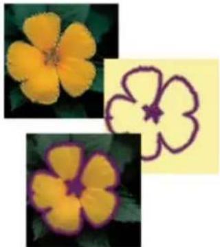 ADOBE Photoshop Elements 15 - Encadrement d'une selection existante par un nouveau cadre de selection - 1