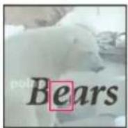 ADOBE Photoshop Elements 15 - Options de l'outil Texte - 3