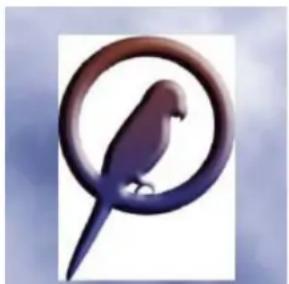 ADOBE Photoshop Elements 15 - A propos des images transparentes et des images Web avec détourage - 1