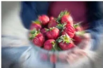 ADOBE Photoshop Elements 15 - Modification guidée Effet Zoom rafale - 2