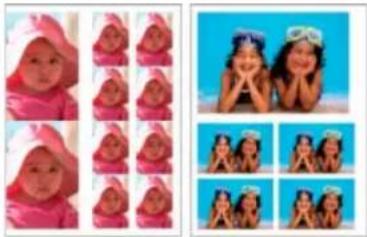 ADOBE Photoshop Elements 15 - Impression d'une collection d-images - 1