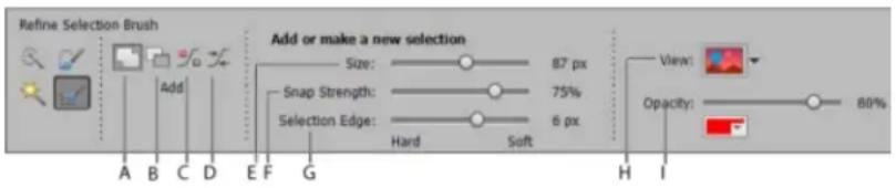 ADOBE Photoshop Elements 15 - Modification des sélections - 1