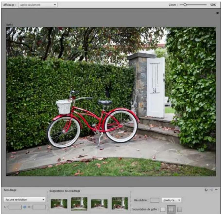 ADOBE Photoshop Elements 15 - Propositions de recadrage automatique - 1