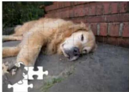 ADOBE Photoshop Elements 15 - Modification guidée Effet puzzle - 2