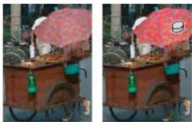 ADOBE Photoshop Elements 15 - Réglage de la saturation de zones isolées - 1