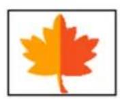 ADOBE Photoshop Elements 15 - Application d'une rotation ou d'une symétrie à un élément - 2