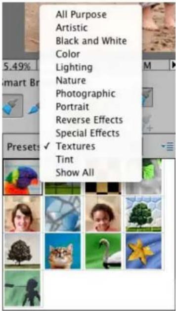 ADOBE Photoshop Elements 15 - Réglage de la couleur et de la tonalité à l'aide des outils de forme dynamique - 3