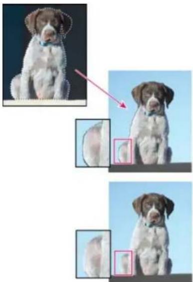 ADOBE Photoshop Elements 15 - Suppression de la frange dans une seLECTION - 1