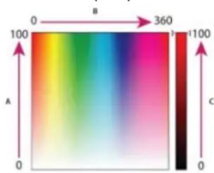 ADOBE Photoshop Elements 15 - Modèle TSL - 1