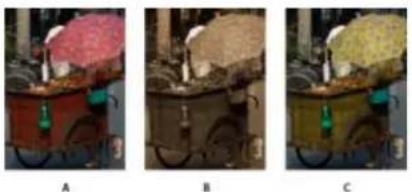 ADOBE Photoshop Elements 15 - Réglage de la saturation et de la teinte - 1