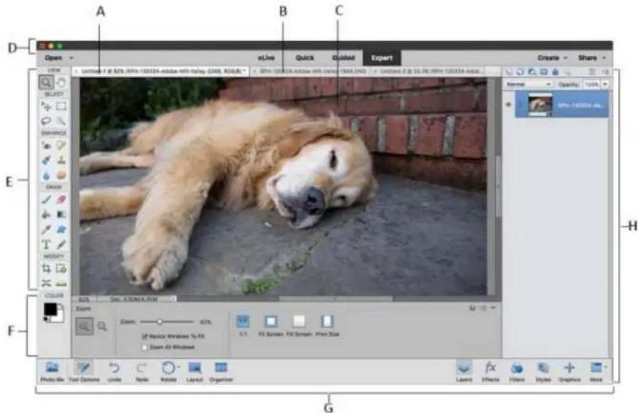 ADOBE Photoshop Elements 15 - Expert - 1