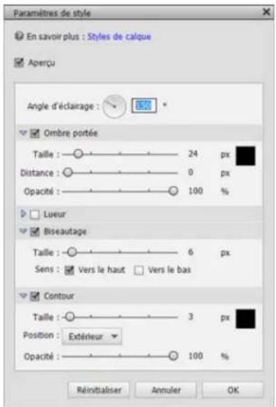ADOBE Photoshop Elements 15 - Modification guidée Texte de la photo - 2