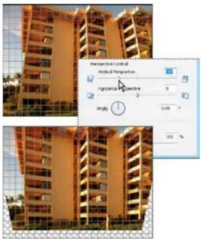 ADOBE Photoshop Elements 15 - Correction de la distorsion de l'objectif - 1