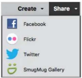 ADOBE Photoshop Elements 15 - Partage de photos en ligne - 1