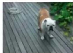 ADOBE Photoshop Elements 15 - Suppression d'objets superflus par correction basée sur le contenu - 2