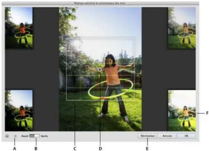 ADOBE Photoshop Elements 15 - Applique le réglage optimé et automatique des tons à une photographie - 1