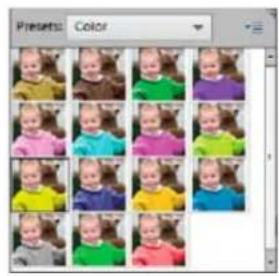 ADOBE Photoshop Elements 15 - Réglage de la couleur et de la tonalité à l'aide des outils de forme dynamique - 5