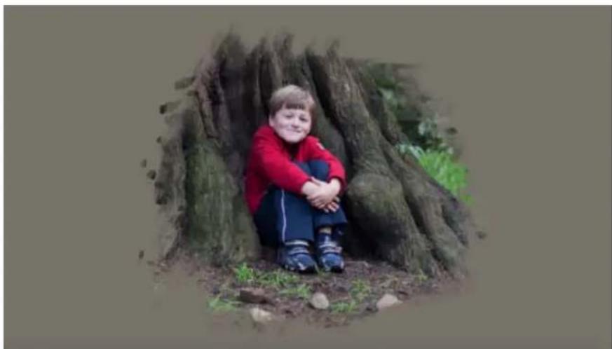 ADOBE Photoshop Elements 15 - Modification guidée Pictural - 2