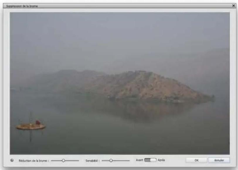 ADOBE Photoshop Elements 15 - Suppression manuelle de la brume - 3