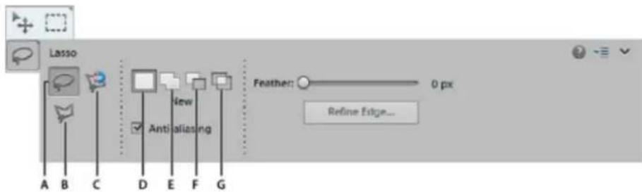 ADOBE Photoshop Elements 15 - Utilisation de l'outil Lasso - 1
