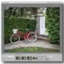 ADOBE Photoshop Elements 15 - Propositions de recadrage automatique - 3