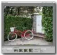 ADOBE Photoshop Elements 15 - Propositions de recadrage automatique - 5