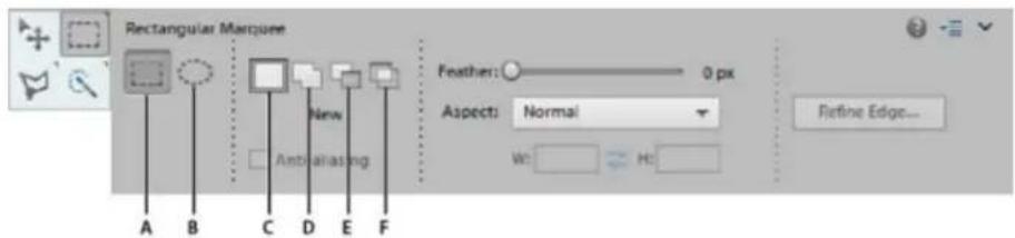 ADOBE Photoshop Elements 15 - Utilisation des outils Rectangle de selection et Ellipse de selection - 1