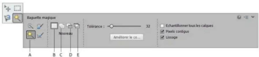 ADOBE Photoshop Elements 15 - Utilisation de l'outil Baguette magique - 1