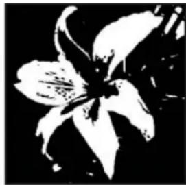 ADOBE Photoshop Elements 15 - Conversion d'une image en mode Bitmap - 2