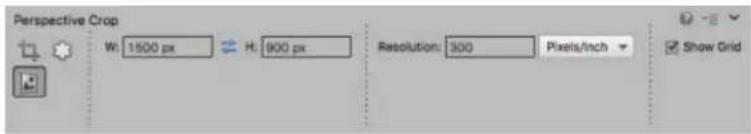 ADOBE Photoshop Elements 15 - Outil Correction de perspective par recadrage - 3