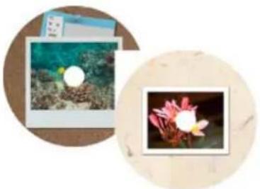 ADOBE Photoshop Elements 15 - A propos des étiquettes de CD et de DVD - 1