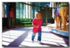 ADOBE Photoshop Elements 15 - Nouveautés de Photoshop Elements 13 - 2