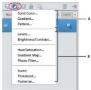 ADOBE Photoshop Elements 15 - A propos des calques de réglage et de replissage - 1