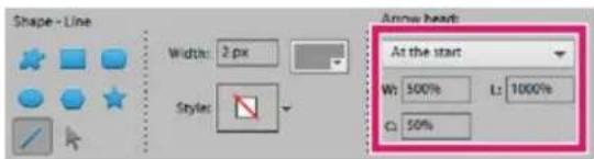 ADOBE Photoshop Elements 15 - Dessin d'un trait ou d'une flèche - 1