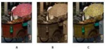 ADOBE Photoshop Elements 15 - Réglage de la saturation et de la teinte - 1