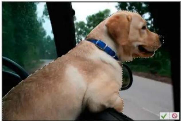 ADOBE Photoshop Elements 15 - Utilisation de l'outil Texte sur la selection - 2