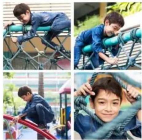 ADOBE Photoshop Elements 15 - Ne vous contentez pas d'organiser vos photos, améliorez-les! - 2