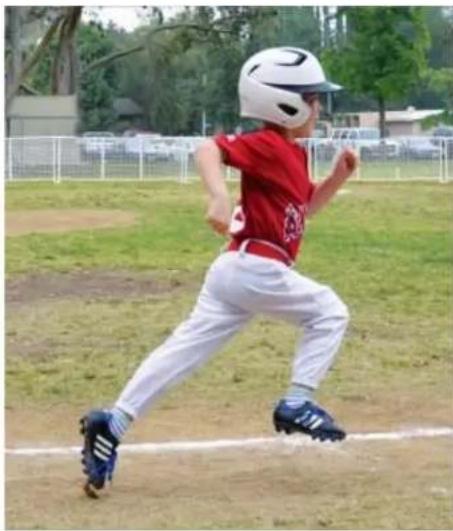 ADOBE Photoshop Elements 15 - Ajoutez un peu d'action! - 1