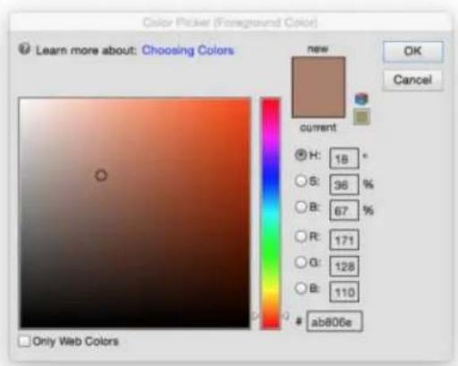 ADOBE Photoshop Elements 15 - Utilisation du selecteur de couleurs Adobe - 1