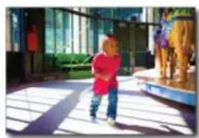 ADOBE Photoshop Elements 15 - Nouveautés de Photoshop Elements 13 - 2