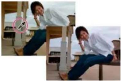 ADOBE Photoshop Elements 15 - Commandes de la balance des blancs pour les fichiers Camera Raw - 2