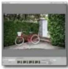 ADOBE Photoshop Elements 15 - Propositions de recadrage automatique - 2