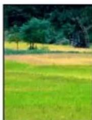 ADOBE Photoshop Elements 15 - Correction des imperfections importantes - 2